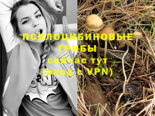 Альфа ПВП Балабаново