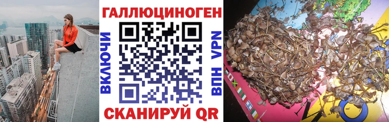 Галлюциногенные грибы мицелий Краснокаменск